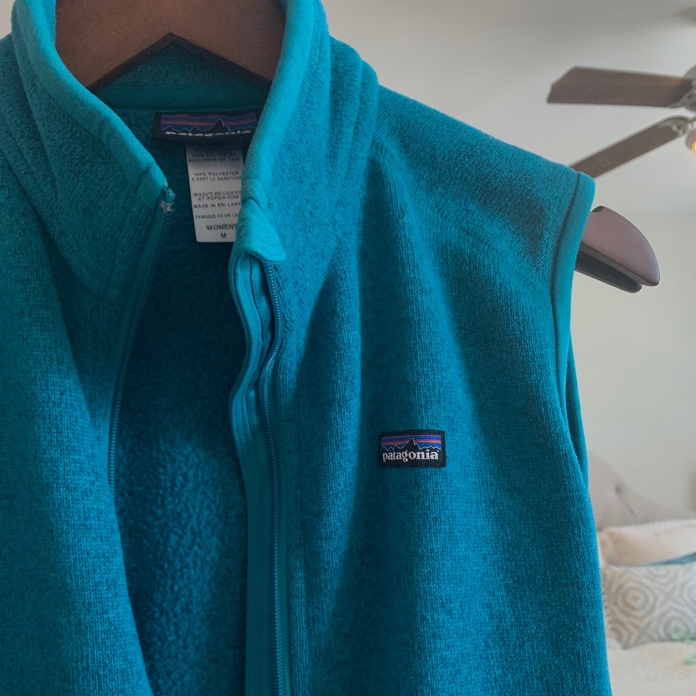 SOLD ✨ Patagonia Better Sweater Vest